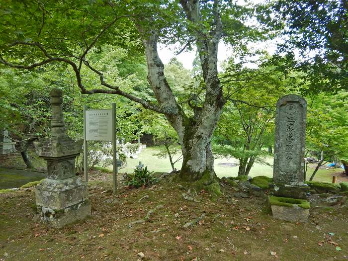 丹波市市島町多利/妙高山神池寺写真