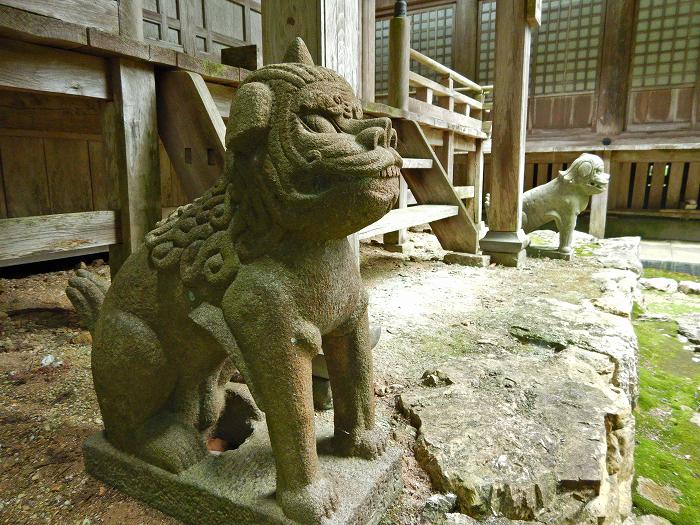 丹波市市島町多利/妙高山神池寺写真