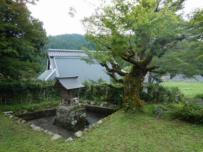 綾部市井根町寺ノ段/中照山日円寺写真