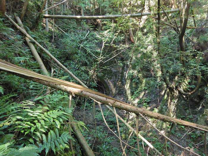 丹波市山南町小野尻/小野尻峠写真