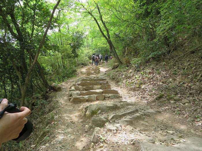 朝来市和田山町竹田/竹田城跡写真