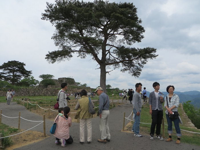 朝来市和田山町竹田/竹田城跡写真