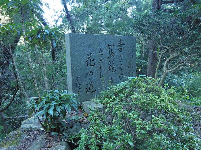 丹波市氷上町氷上/天王坂峠写真