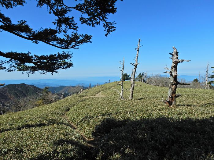 吉野郡天川村洞川/山上ヶ岳写真