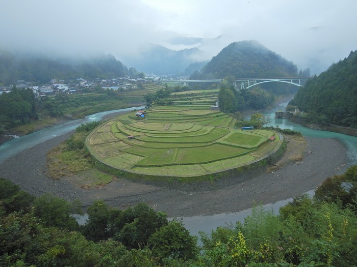 有田郡有田川町三田/あらぎ島写真