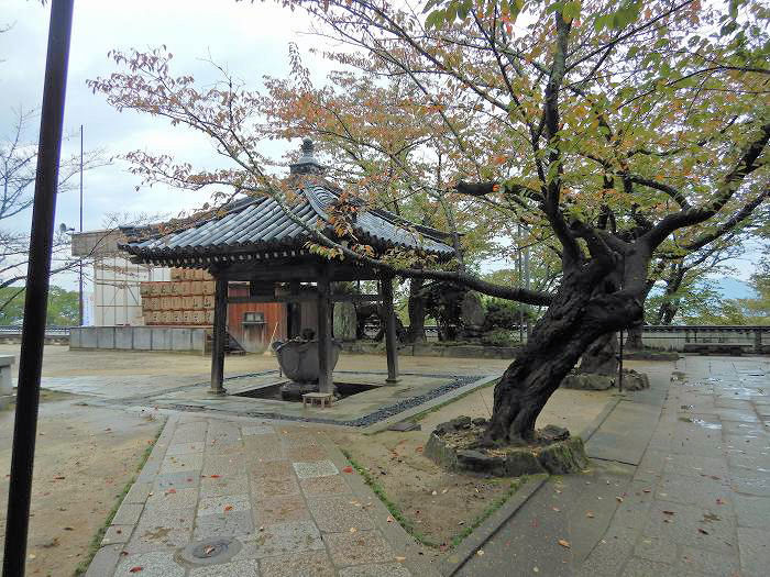 和歌山市紀三井寺/紀三井山護国院写真