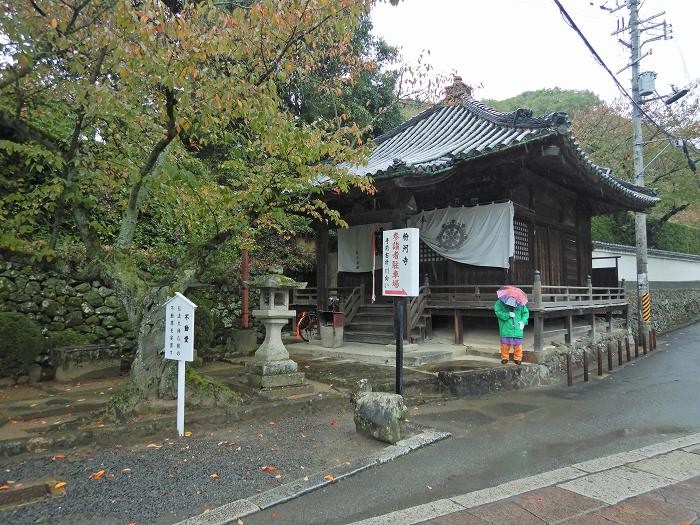 紀の川市粉河/風猛山粉河寺写真