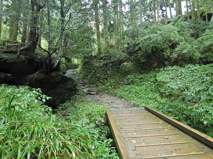 和泉市槇尾山町/槇尾山施福寺写真