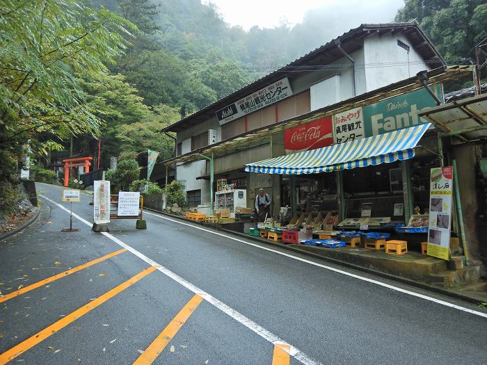 和泉市槇尾山町/槇尾山施福寺写真