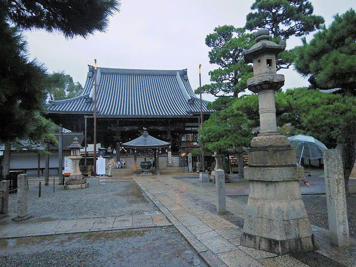 藤井寺市藤井寺/紫雲山葛井寺写真