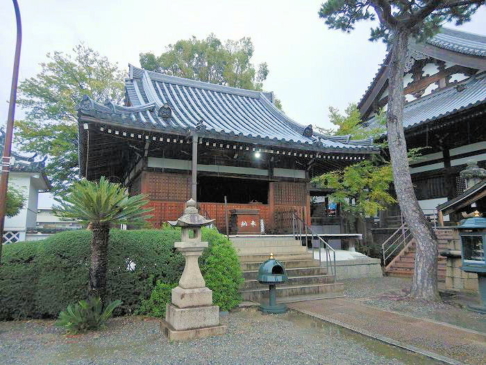 藤井寺市藤井寺/紫雲山葛井寺写真