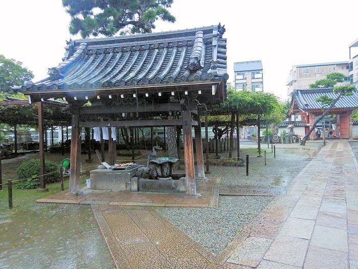 藤井寺市藤井寺/紫雲山葛井寺写真