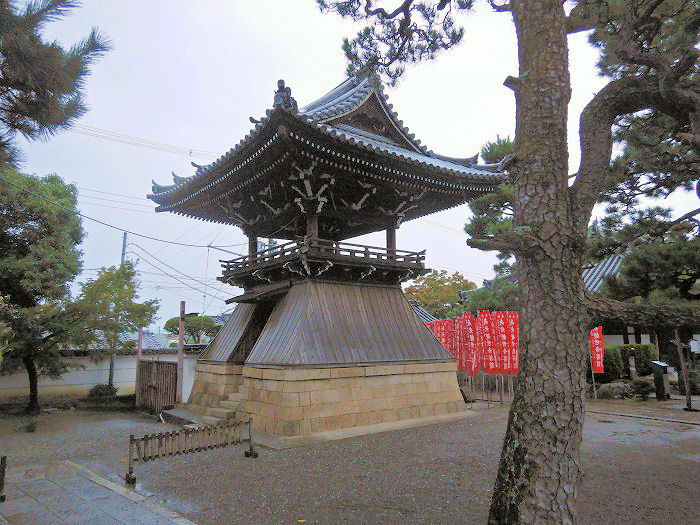 藤井寺市藤井寺/紫雲山葛井寺写真