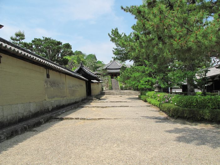 生駒郡斑鳩町/法隆寺(斑鳩寺)写真