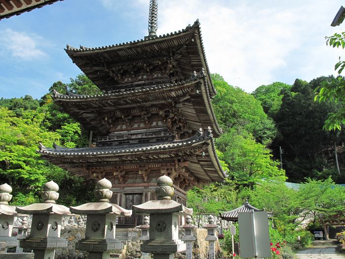 高市郡高取町/壺阪山南法華寺(壷阪寺)写真