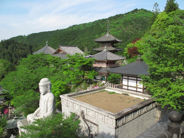 高市郡高取町/壺阪山南法華寺(壷阪寺)写真