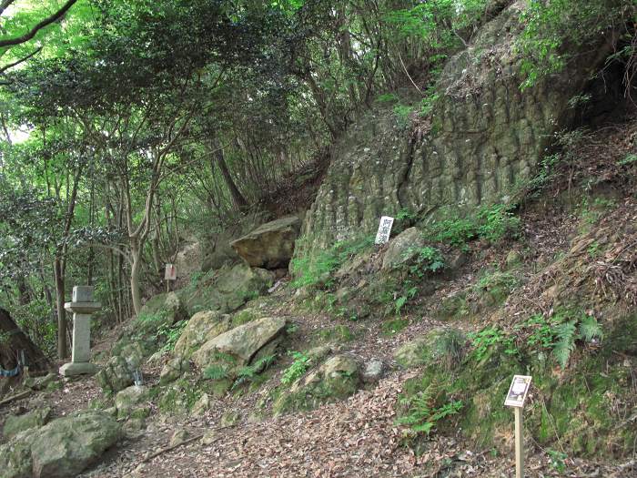 高市郡高取町/壺阪山南法華寺(壷阪寺)写真