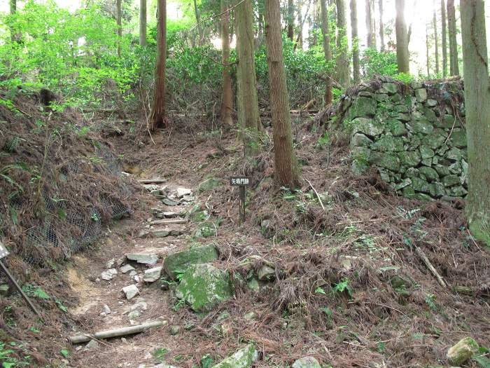 高市郡高取町/高取城跡写真