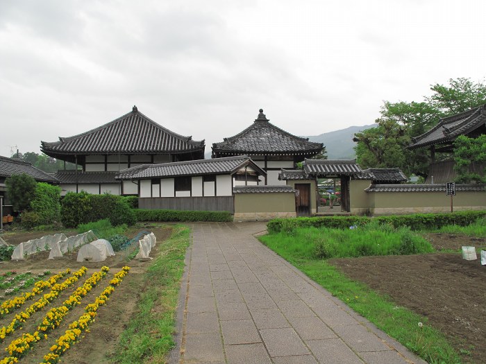 高市郡明日香村/飛鳥寺写真