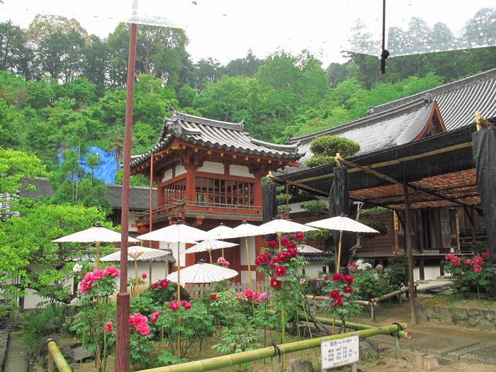 高市郡明日香村/東光山岡寺写真