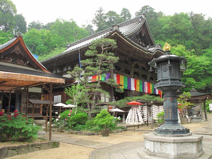 高市郡明日香村/東光山岡寺写真