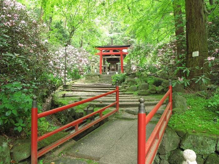 高市郡明日香村/東光山岡寺写真