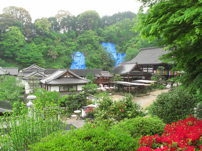 高市郡明日香村/東光山岡寺写真