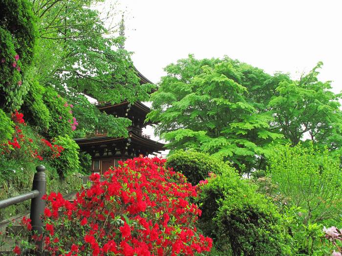 高市郡明日香村/東光山岡寺写真