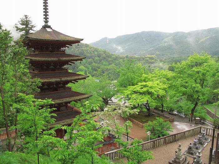 桜井市初瀬/豊山長谷寺写真