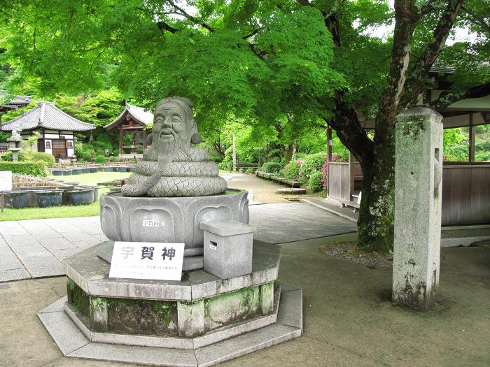 宇治市莵道滋賀谷/明星山三室戸寺写真