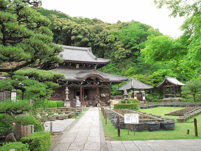 宇治市莵道滋賀谷/明星山三室戸寺写真