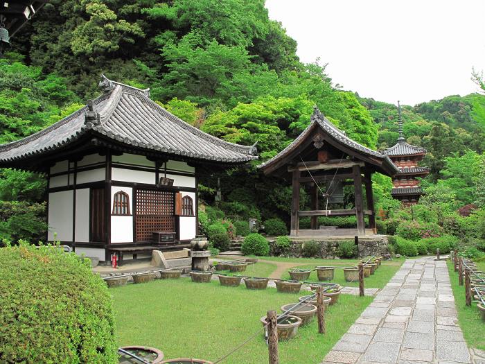 宇治市莵道滋賀谷/明星山三室戸寺写真