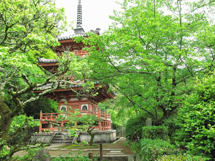 宇治市莵道滋賀谷/明星山三室戸寺写真