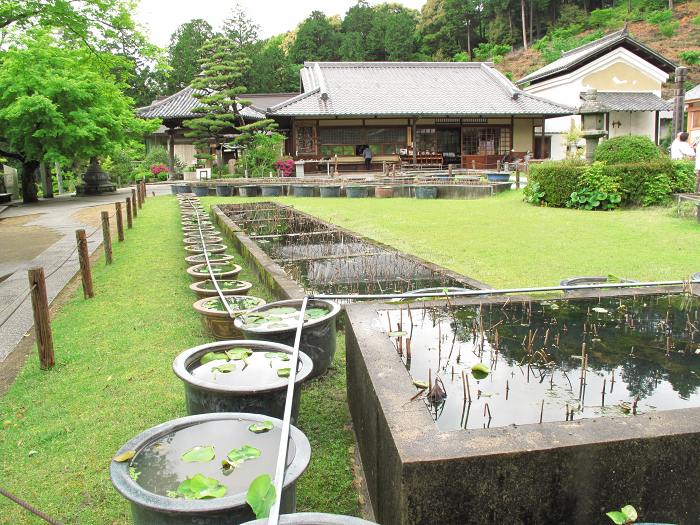 宇治市莵道滋賀谷/明星山三室戸寺写真