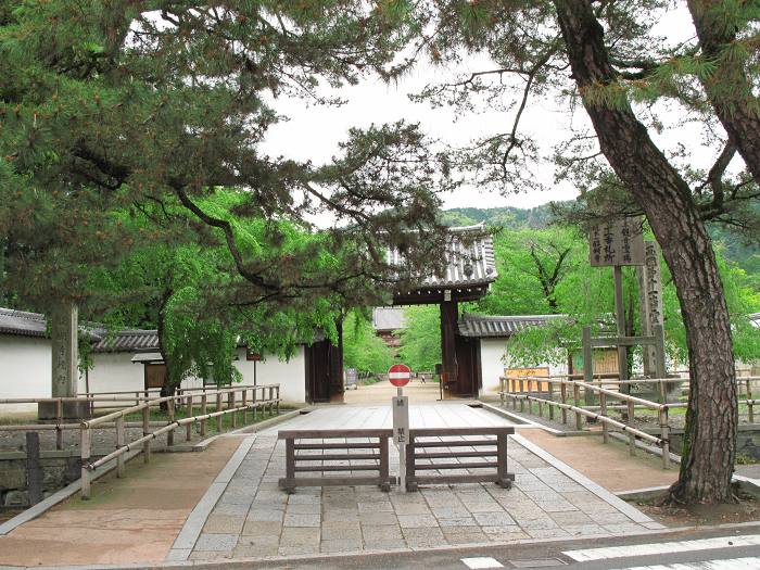 京都市伏見区醍醐伽藍町/醍醐山醍醐寺(下醍醐寺)写真