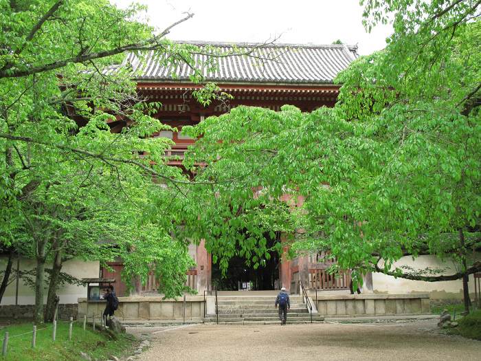 京都市伏見区醍醐伽藍町/醍醐山醍醐寺(下醍醐寺)写真