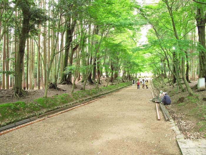 京都市伏見区醍醐伽藍町/醍醐山醍醐寺(下醍醐寺)写真