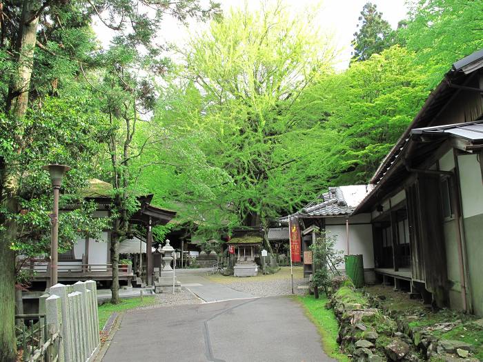 大津市石山内畑町/岩間山正法寺(岩間寺)写真