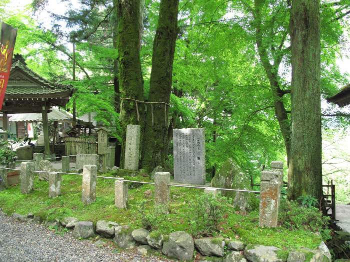 大津市石山内畑町/岩間山正法寺(岩間寺)写真