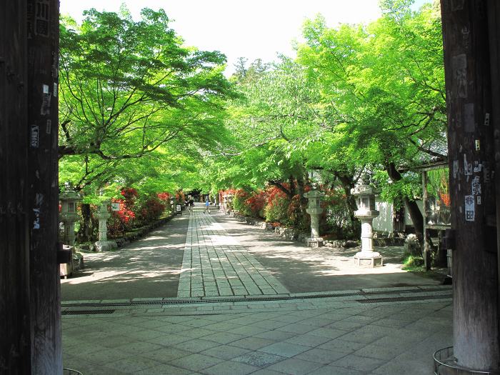 大津市石山寺/石光山石山寺写真