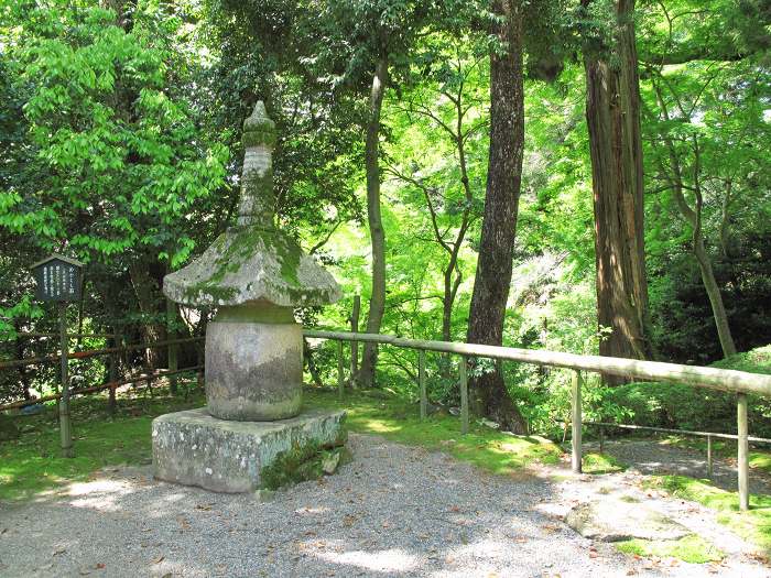 大津市石山寺/石光山石山寺写真