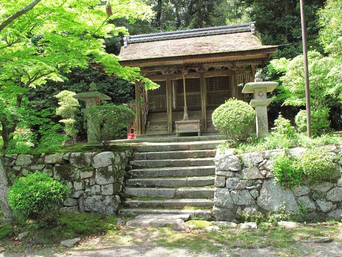 大津市園城寺町/長等山園城寺(三井寺)写真