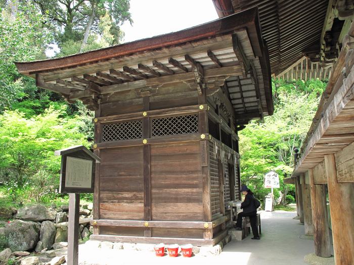 大津市園城寺町/長等山園城寺(三井寺)写真