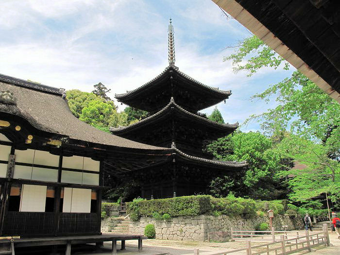 大津市園城寺町/長等山園城寺(三井寺)写真