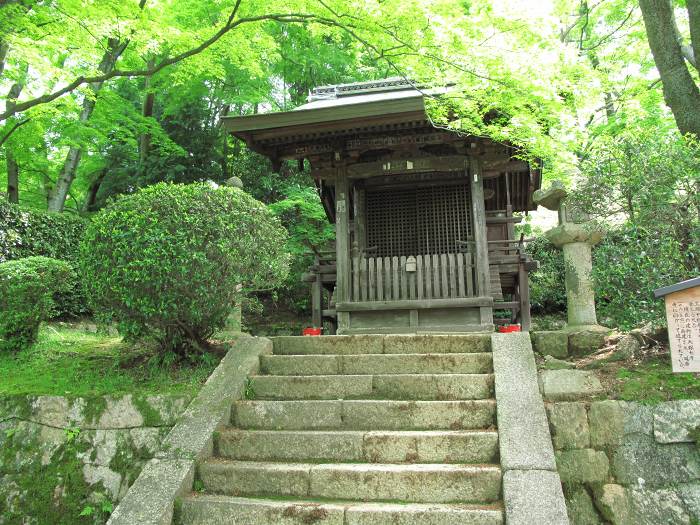 大津市園城寺町/長等山園城寺(三井寺)写真