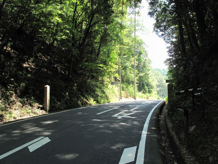 綾部市西坂町/枯木峠写真