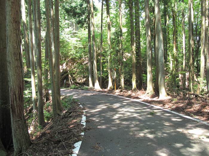 綾部市五泉町/菅坂峠写真