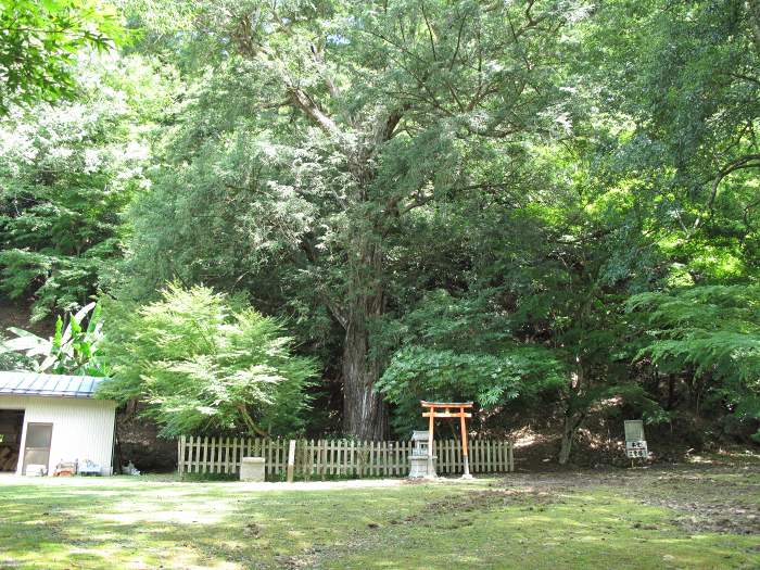 舞鶴市鹿原/鹿原山慈恩寺(金剛院)写真