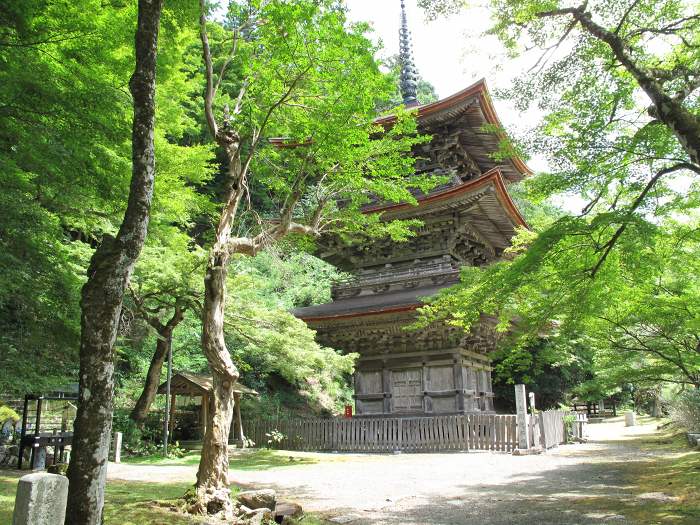 舞鶴市鹿原/鹿原山慈恩寺(金剛院)写真