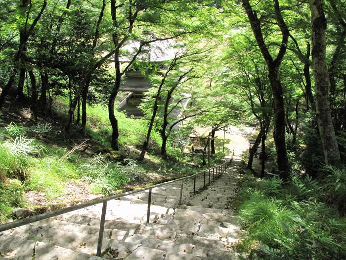 舞鶴市鹿原/鹿原山慈恩寺(金剛院)写真